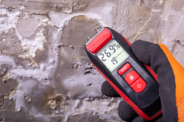 Best Mold Remediation  in Oconto, WI