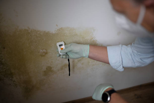 Water Damage Restoration in Oconto, WI